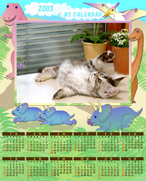 �t�W �X�}�[�g���f�B�A  XD�s�N�`���[�J�[�h